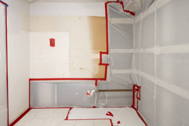 Trusted Novi, MI Mold Removal Experts