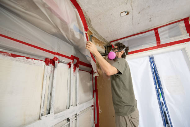 Mold Remediation for Rental Properties in Novi, MI