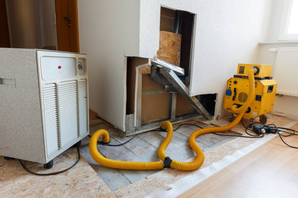 Best Mold Prevention Services  in Novi, MI