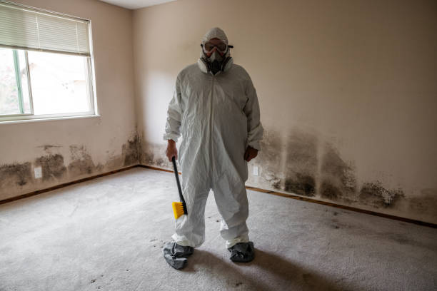 Best Airborne Mold Testing  in Novi, MI